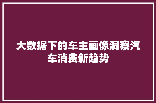 大数据下的车主画像洞察汽车消费新趋势  第1张
