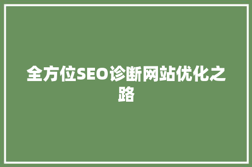 全方位SEO诊断网站优化之路