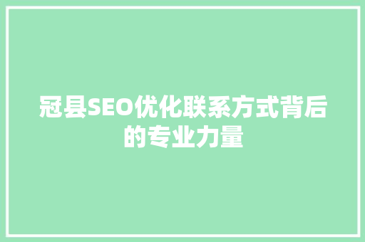 冠县SEO优化联系方式背后的专业力量