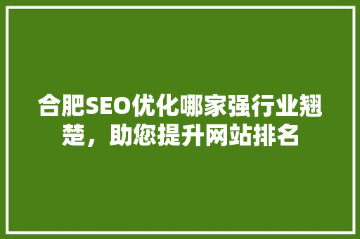 合肥SEO优化哪家强行业翘楚，助您提升网站排名