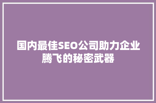 国内最佳SEO公司助力企业腾飞的秘密武器