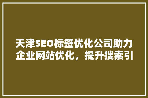 天津SEO标签优化公司助力企业网站优化，提升搜索引擎排名