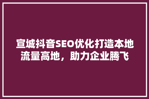 宣城抖音SEO优化打造本地流量高地，助力企业腾飞  第1张