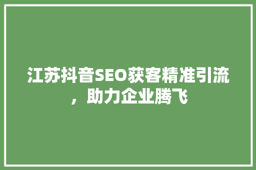 江苏抖音SEO获客精准引流，助力企业腾飞