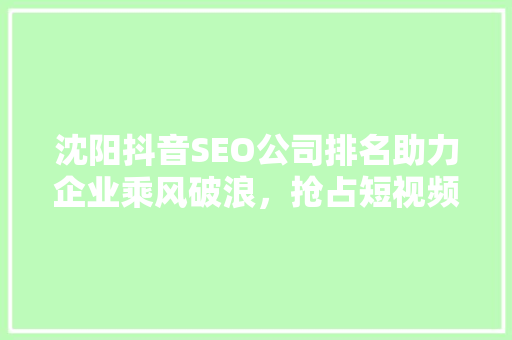 沈阳抖音SEO公司排名助力企业乘风破浪，抢占短视频营销制高点