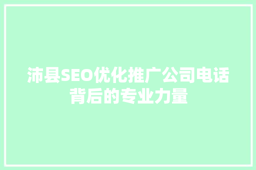沛县SEO优化推广公司电话背后的专业力量