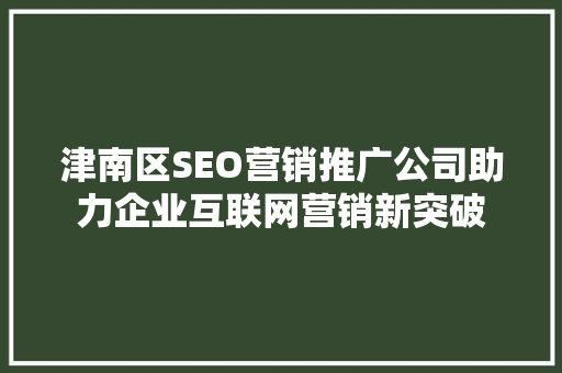 津南区SEO营销推广公司助力企业互联网营销新突破  第1张