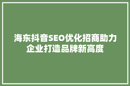 海东抖音SEO优化招商助力企业打造品牌新高度