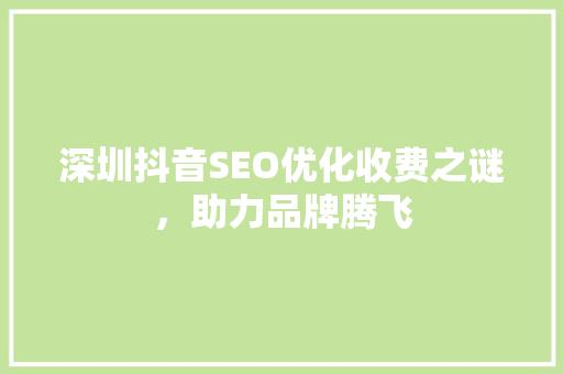 深圳抖音SEO优化收费之谜，助力品牌腾飞