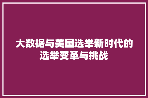 大数据与美国选举新时代的选举变革与挑战  第1张