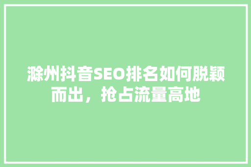 滁州抖音SEO排名如何脱颖而出，抢占流量高地