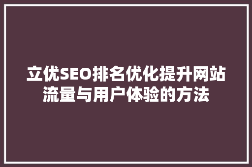 立优SEO排名优化提升网站流量与用户体验的方法