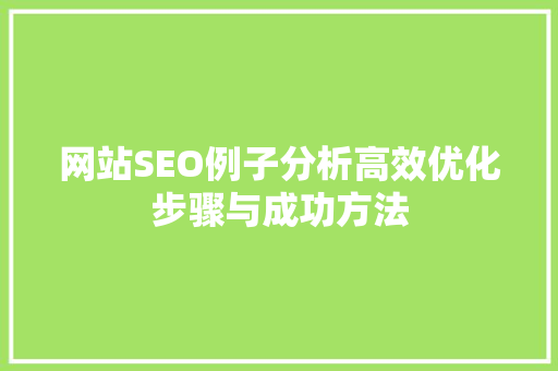 网站SEO例子分析高效优化步骤与成功方法