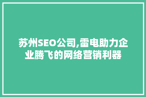 苏州SEO公司,雷电助力企业腾飞的网络营销利器