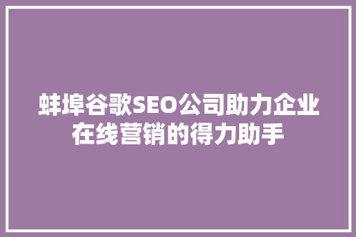 蚌埠谷歌SEO公司助力企业在线营销的得力助手