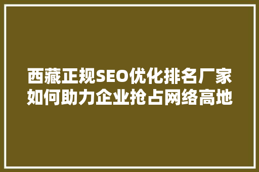西藏正规SEO优化排名厂家如何助力企业抢占网络高地