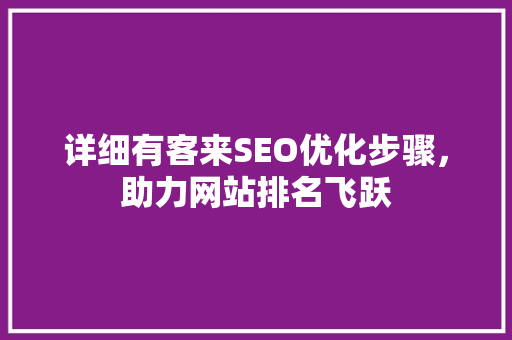 详细有客来SEO优化步骤，助力网站排名飞跃