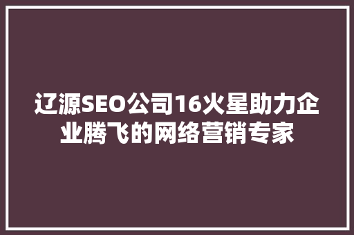 辽源SEO公司16火星助力企业腾飞的网络营销专家