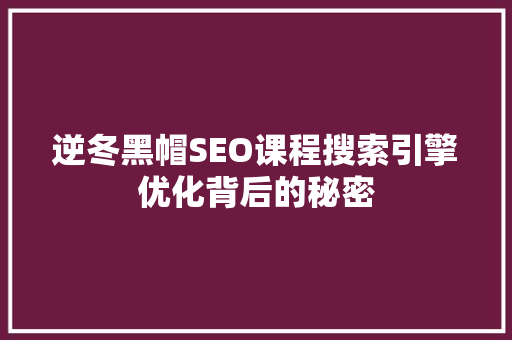 逆冬黑帽SEO课程搜索引擎优化背后的秘密