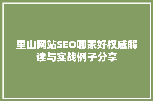 里山网站SEO哪家好权威解读与实战例子分享  第1张