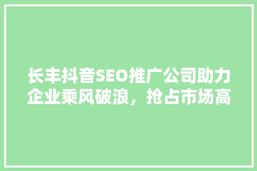 长丰抖音SEO推广公司助力企业乘风破浪，抢占市场高地