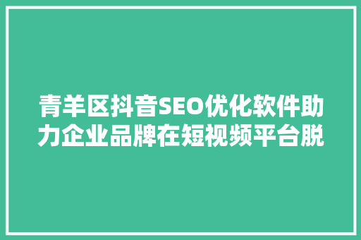 青羊区抖音SEO优化软件助力企业品牌在短视频平台脱颖而出