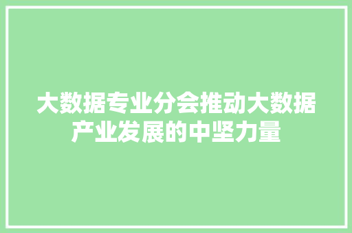 大数据专业分会推动大数据产业发展的中坚力量  第1张