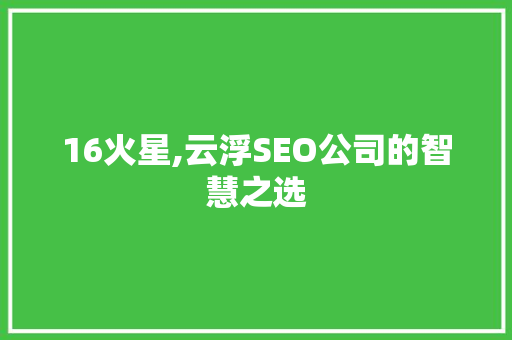 16火星,云浮SEO公司的智慧之选