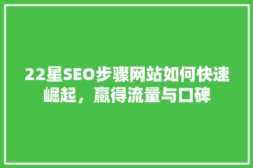 22星SEO步骤网站如何快速崛起，赢得流量与口碑