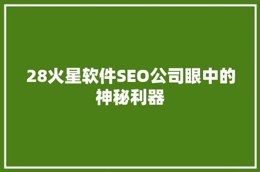 28火星软件SEO公司眼中的神秘利器