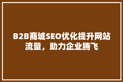 B2B商城SEO优化提升网站流量，助力企业腾飞