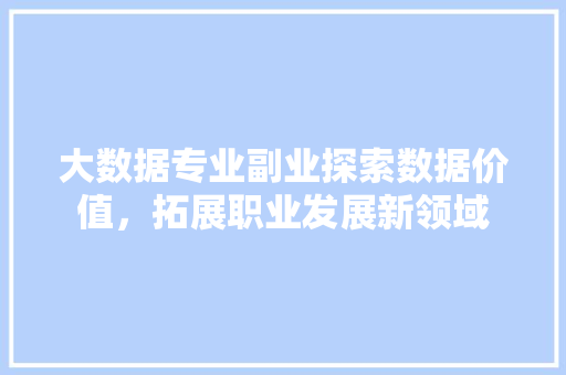 大数据专业副业探索数据价值，拓展职业发展新领域