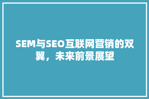 SEM与SEO互联网营销的双翼，未来前景展望