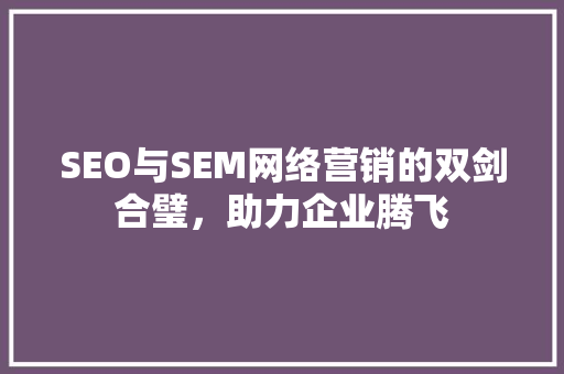 SEO与SEM网络营销的双剑合璧，助力企业腾飞