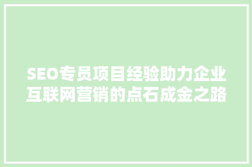 SEO专员项目经验助力企业互联网营销的点石成金之路