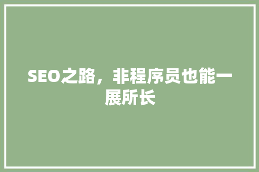 SEO之路，非程序员也能一展所长