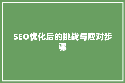SEO优化后的挑战与应对步骤