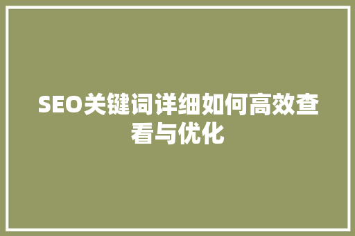 SEO关键词详细如何高效查看与优化