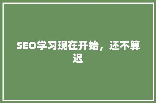 SEO学习现在开始，还不算迟
