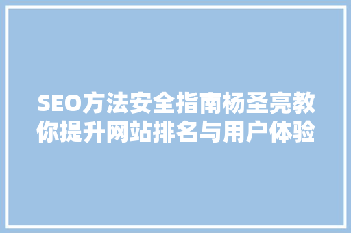 SEO方法安全指南杨圣亮教你提升网站排名与用户体验