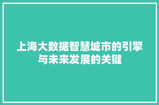 上海大数据智慧城市的引擎与未来发展的关键
