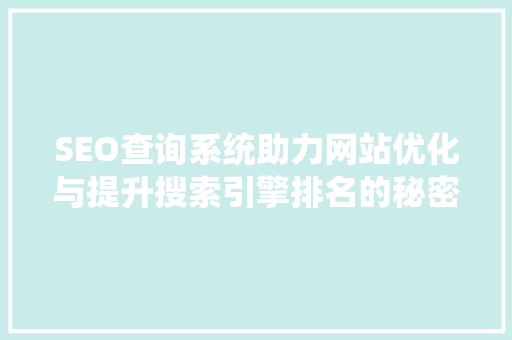 SEO查询系统助力网站优化与提升搜索引擎排名的秘密武器