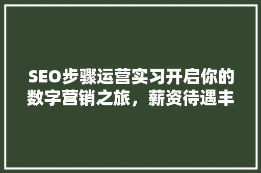 SEO步骤运营实习开启你的数字营销之旅，薪资待遇丰厚