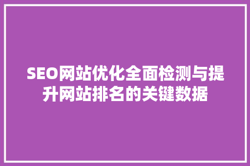 SEO网站优化全面检测与提升网站排名的关键数据
