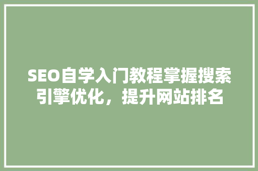 SEO自学入门教程掌握搜索引擎优化，提升网站排名