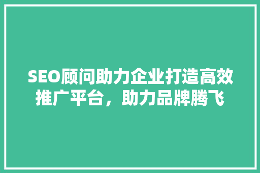 SEO顾问助力企业打造高效推广平台，助力品牌腾飞