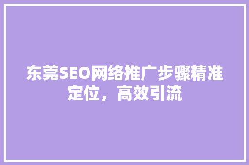 东莞SEO网络推广步骤精准定位，高效引流