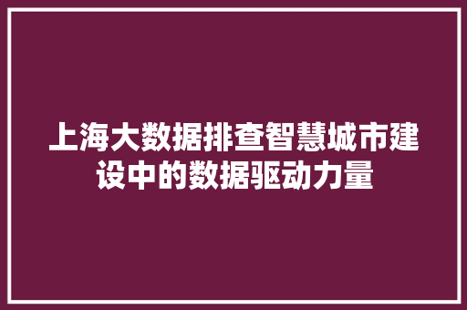 上海大数据排查智慧城市建设中的数据驱动力量