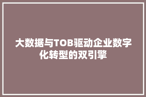 大数据与TOB驱动企业数字化转型的双引擎  第1张