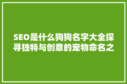 SEO是什么狗狗名字大全探寻独特与创意的宠物命名之路